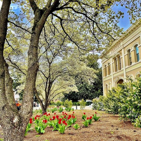 The Historic Court House with flowers and tree in the front courtyard. 